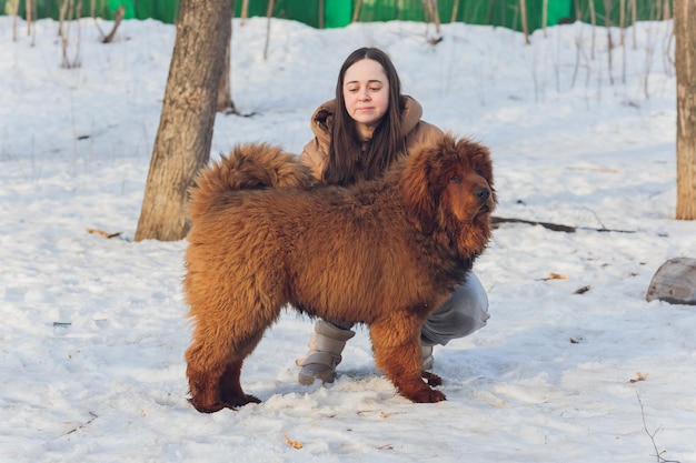 Łowca kobiet z pistoletem za plecami i psami cane corso na smyczy polowanie na samice