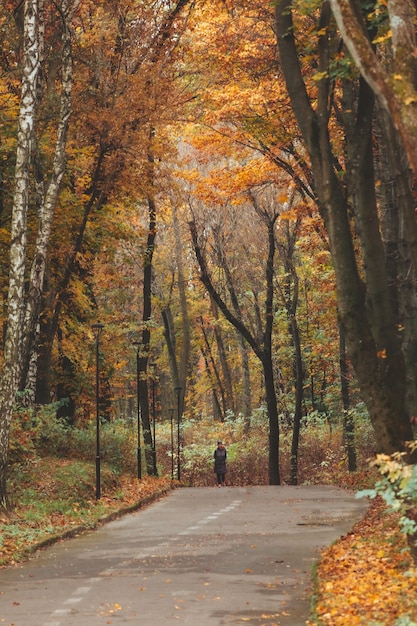 Ludzie chodzą na zewnątrz przez jesienny park miejski w sezonie jesiennym kopia miejsca