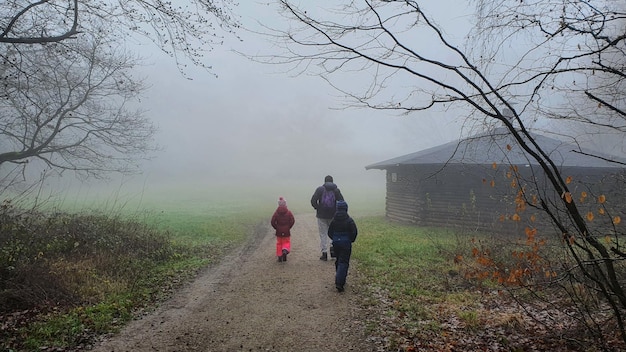 Ludzie chodzą w bajecznym jesiennym lesie z dużą ilością drzew w porannej mgle. Mężczyzna z dwójką dzieci. Zła pogoda. Tle przyrody.