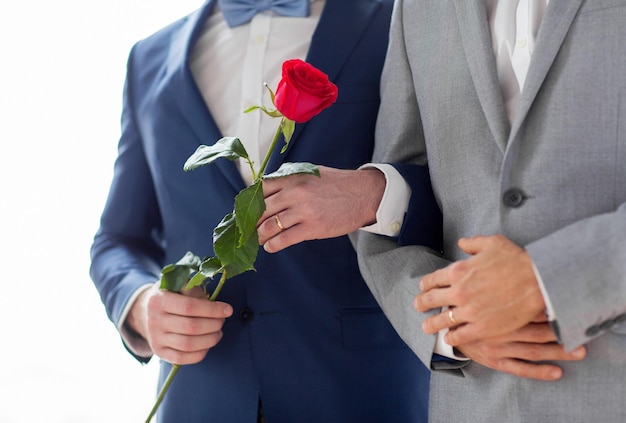 ludzie, homoseksualizm, małżeństwo osób tej samej płci i koncepcja miłości - zbliżenie szczęśliwej męskiej pary gejów z czerwonym kwiatem róży trzymającej się za ręce na weselu