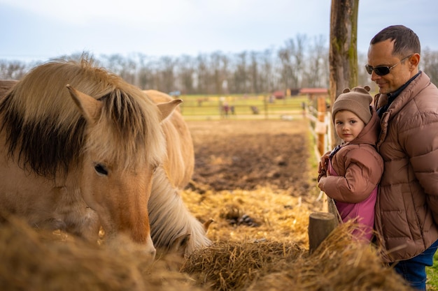 Ludzie karmiący konie w kontakcie z zoo ze zwierzętami domowymi i ludźmi w zelcinie w czechach