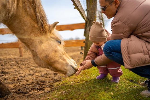 Ludzie Karmiący Zwierzęta W Kontakcie Z Zoo Ze Zwierzętami Domowymi I Ludźmi W Zelcinie, Czechy