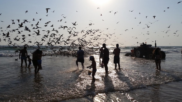 Zdjęcie ludzie na brzegu na plaży