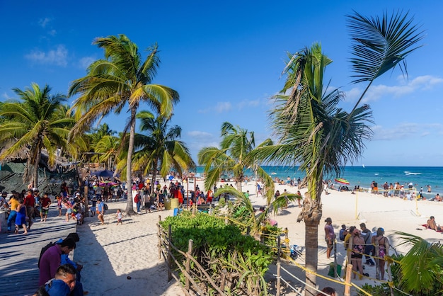 Ludzie na piaszczystej plaży z palmami kokosowymi w Playa del Carmen Yukatan w Meksyku