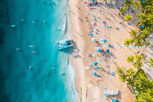 Ludzie na plaży