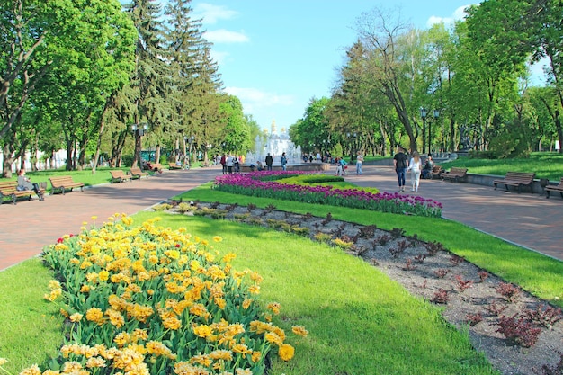 Ludzie odpoczywają w miejskim parku z łóżkami tulipanów na wiosnę Strefa relaksu