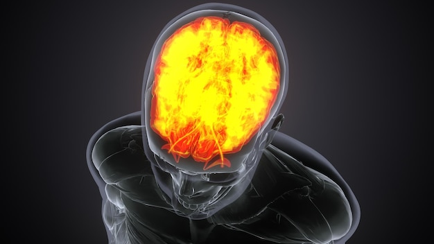 ludzka głowa z świecącą głową, która mówi mózg