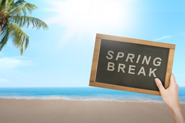 Ludzka ręka trzymająca małą tablicę z tekstem Spring Break