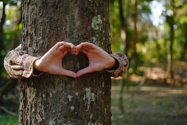 Zdjęcie ludzkie ręce dotykające drzewa uściskają drzewa lub chronią środowisko co2 netto zero koncepcja zanieczyszczenia klimatu