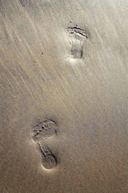 Ludzkie ślady bosych stóp znikają w brązowym, żółtym, piaszczystym tle plaży, letnich wakacji lub miejsca na kopię koncepcji zmiany klimatu