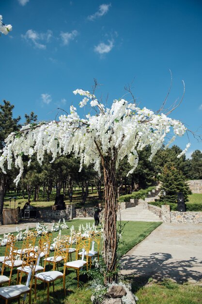 Łuk Premium Do Ceremonii ślubnej Dla Nowożeńców Nad Brzegiem Rzeki Z Glicyniami