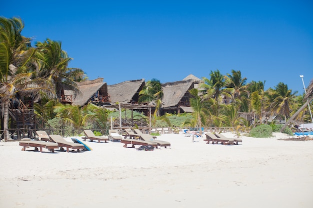 Luksusowy hotel w tropikalnym kurorcie nad brzegiem oceanu z palmami
