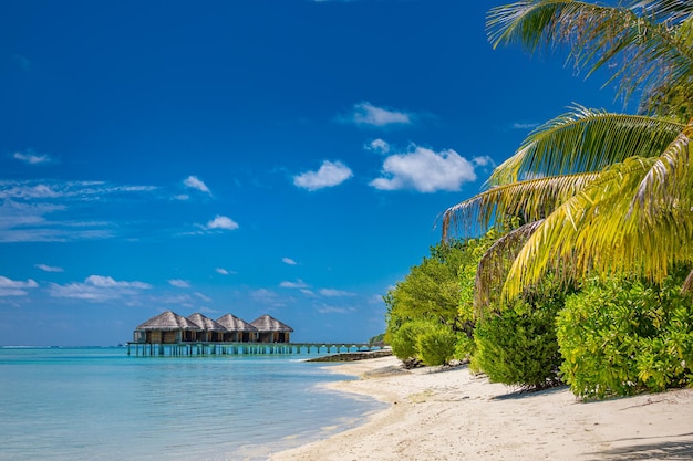 Luksusowy hotel z wodnymi willami i liśćmi palm na białym piasku, blisko błękitnego morza, pejzaż morski