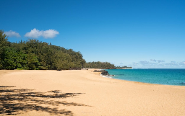 Lumahai Beach Kauai w spokojny dzień?