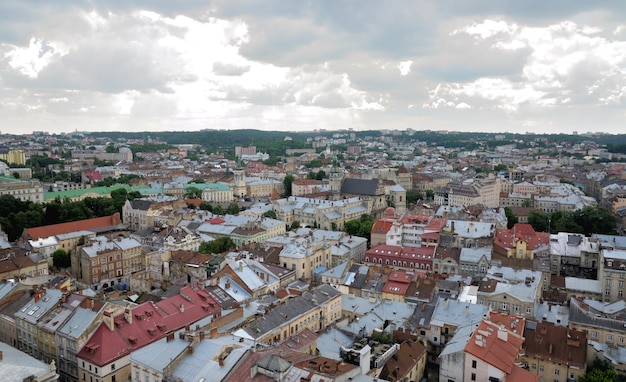 Lwów. Widok z wysokiej wieży.