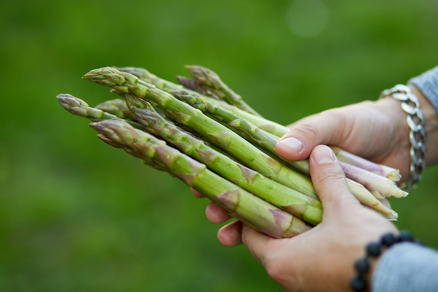 M??czyzna trzyma kilka zielonych szparagów w jego r?kach odkryty, Spears of Fresh zielonych szparagów na s?o?cu, kopia miejsca na tekst. Żniwa, gotowe do gotowania, zdrowa dieta wegańska, lokalne jedzenie.