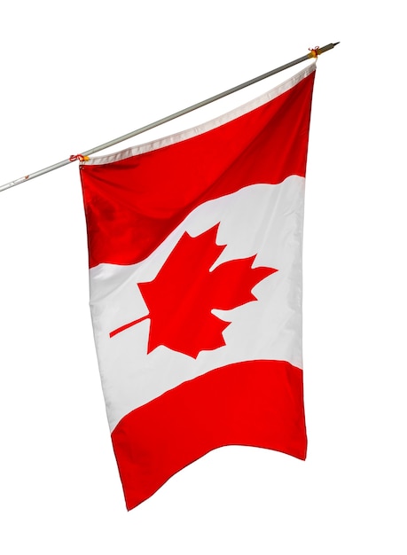 Macha flagą narodową Kanady na białym tle