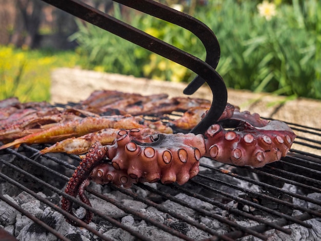 Macki ośmiornicy i ryby z przyssawkami na grillu zbliżenie na greckiej wyspie