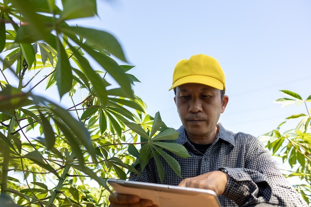 Mądry Farmer Azjata Używa Tabletu Do Analizy Upraw, Które W Ciągu Dnia Uprawia Na Swojej Farmie.