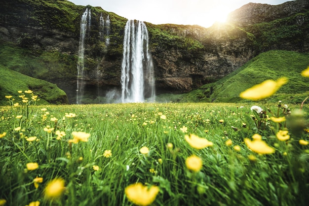 Magiczny Wodospad Seljalandsfoss Na Islandii.