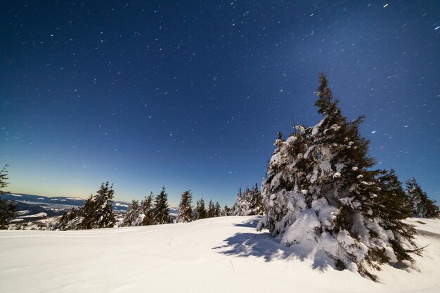 Magiczny zimowy krajobraz z pokrytym śniegiem drzewem Wibrujące nocne niebo z gwiazdami, mgławicą i galaktyką Głębokie niebo astrofoto