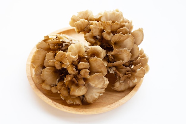 Maitake Grifola grzyb liściasty na białym tle