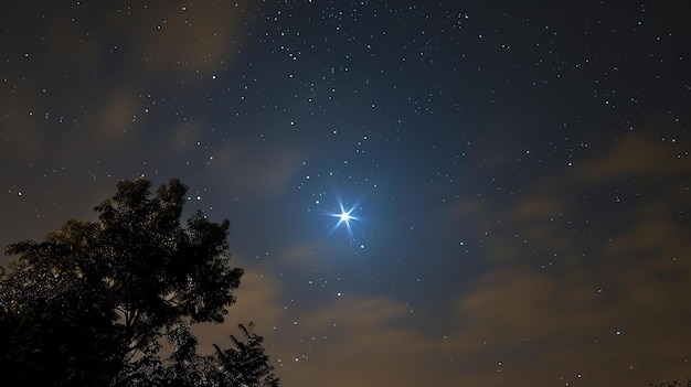 Majestatyczne nocne niebo ozdobione jest niezliczonymi gwiazdami, z których każda błyszczy jak kosztowny klejnot.