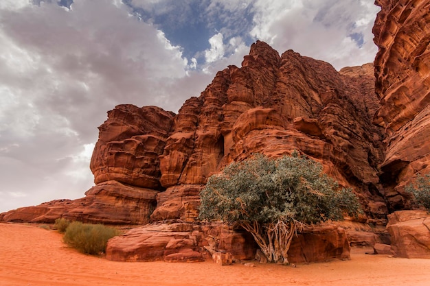 Majestatyczne widoki na pustynię Wadi Rum Jordania