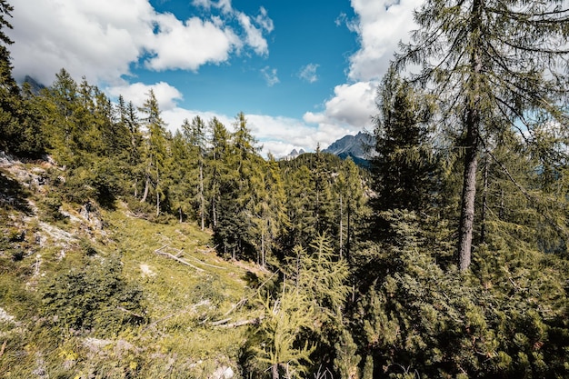 Majestatyczny krajobraz jeziora Dolomity Sorapis z kolorowymi modrzewiami i wysokimi górami Cudowne krajobrazy przyrody w dolomitach we Włoszech w pobliżu Cortina d'Ampezzo