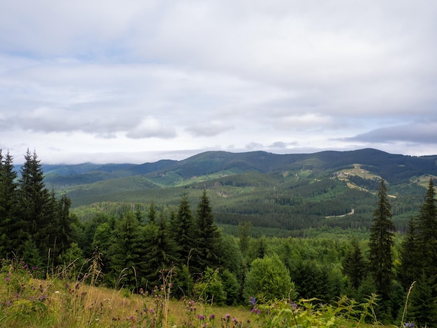 Majestatyczny krajobraz letnich gór. Widok na wzgórza we mgle. Karpaty. Niesamowity widok na góry i pochmurne niebo w pobliżu Wierchowiny na Ukrainie.