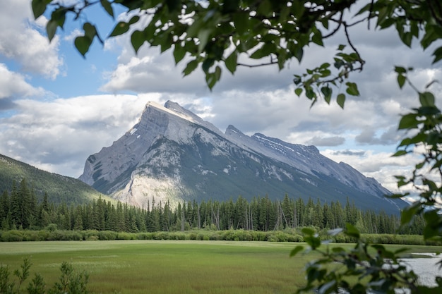 Majestatyczny szczyt górski otoczony gałęziami park narodowy banff kanada