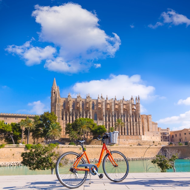 Majorka Palma Cathedral Seu i rower Mallorca