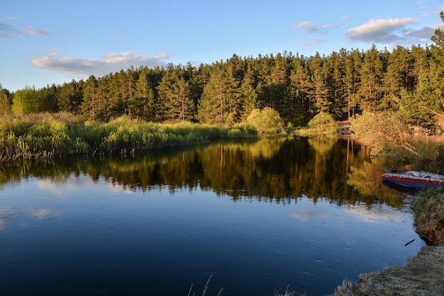 Majowy wieczór nad leśną rzeką