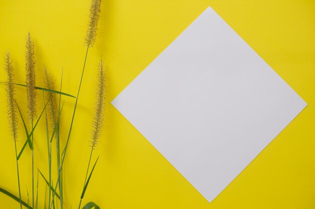 Zdjęcie makieta biały papier z miejscem na tekst lub obraz na żółtym tle i kwiat.