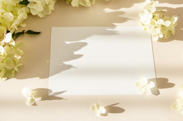 Makieta karty zaproszenie z kwiatami hortensji na beżowym pastelowym tle Szablon puste białej księgi makiety do marki i reklamy Widok z góry płaska położyć kopia przestrzeń