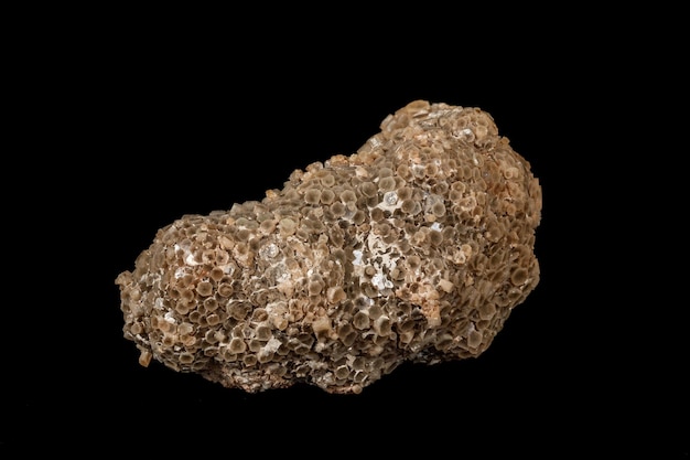 Makro kamień mineralny aragonit na czarnym tle z bliska