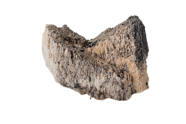 Makro-kamień mineralny Schorl Czarny Turmalin na skaleniu na białym tle