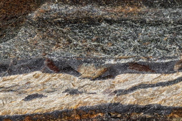 Makro-kamień mineralny Wężowe oko w skale na białym tle