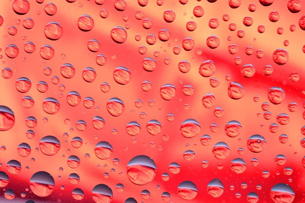 Makro kropli wody na czerwonym tle