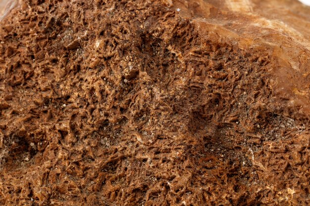 Makro mineralny kamień agat brązowy na białym tle