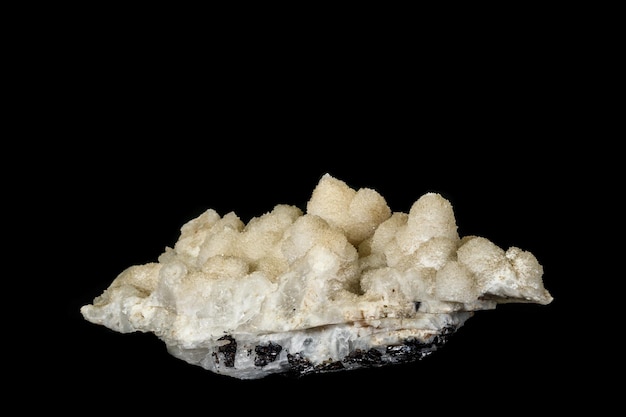 Makro mineralny kamień kwarcowy dwóch geniratów na czarnym tle
