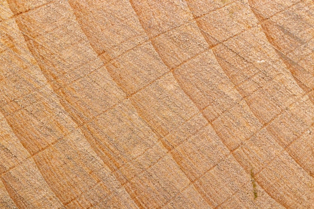 Makro tekstura żółtego drewna