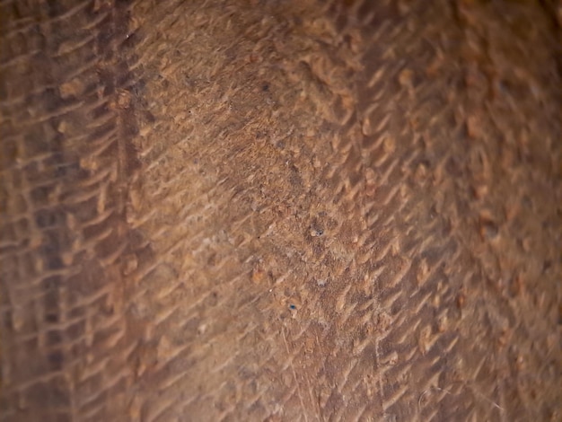Zdjęcie makro tekstury brązowego drewna nadaje się do tła tapety
