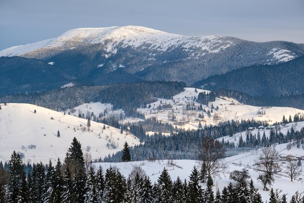 Mała alpejska wioska i zimowe ośnieżone góry w pierwszym słońcu wschodu słońca wokół Karpackiej Ukrainy Voronenko