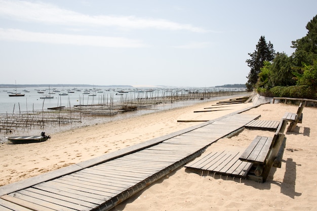 Zdjęcie mała drewniana ścieżka dla spacerującego turysty na plaży w lecie