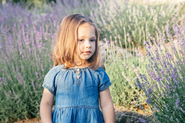 Mała dziewczynka 3-4 o ciemnych włosach w dżinsowej sukience w słońcu stoi wśród dużych krzaków liliowej lawendy