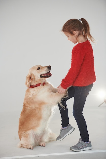 Mała dziewczynka jest ze słodkim golden retrieverem w studio na białym tle