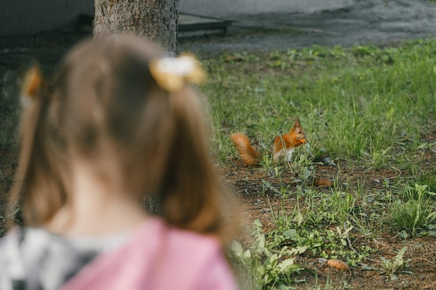 Zdjęcie mała dziewczynka patrząca na wiewiórkę w parku.