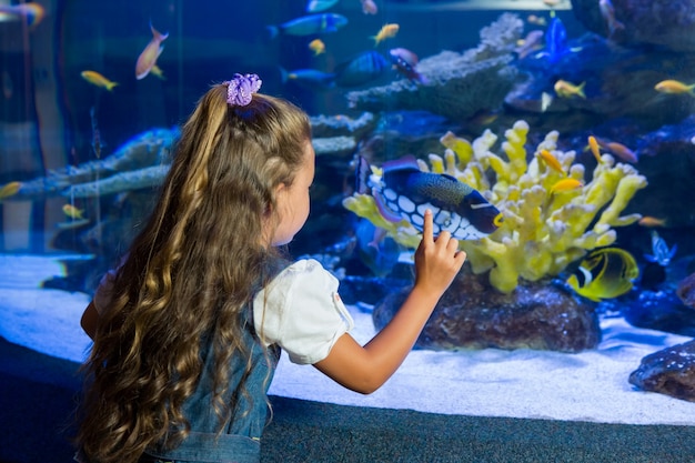 Mała dziewczynka patrzeje rybim zbiornik