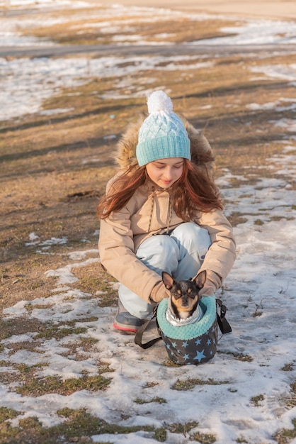 Mała dziewczynka w beżowej kurtce i niebieskim kapeluszu spaceruje ze swoim zwierzakiem. Pies Chihuahua